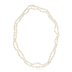 Freshwater pearl Silver Necklace (TPC)