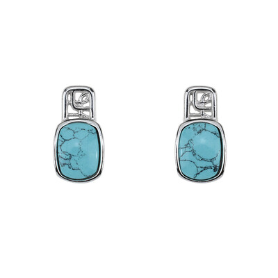 Turquoise Silver Earrings (dagen)
