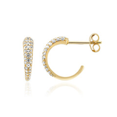 Zircon Silver Earrings