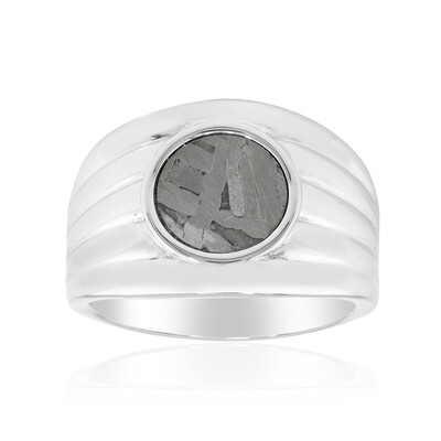 Aletai-Meteorite Silver Ring