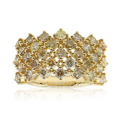 14K SI2 Fancy Diamond Gold Ring (CIRARI)