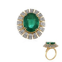 18K AAA Zambian Emerald Gold Ring (D'vyere)