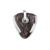 Petrified Wood Silver Pendant
