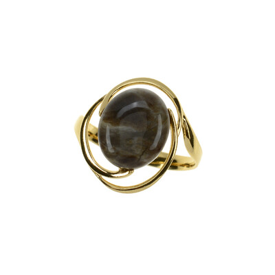 Petrified Wood Silver Ring (dagen)