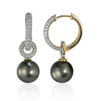 9K Tahitian Pearl Gold Earrings (TPC)