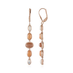 Chocolate Moonstone Silver Earrings (KM by Juwelo)