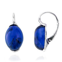 Colombian blue Amber Silver Earrings