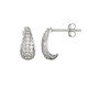 Zircon Silver Earrings (Adela Silber)