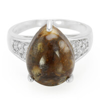 Dinosaur Bone Silver Ring