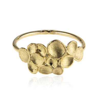 Silver Ring (Joias do Paraíso)