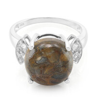 Dinosaur Bone Silver Ring