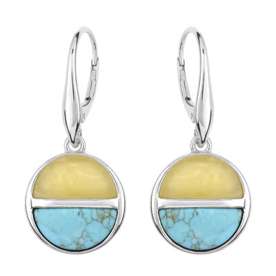 Turquoise Silver Earrings (dagen)