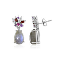 Labradorite Silver Earrings