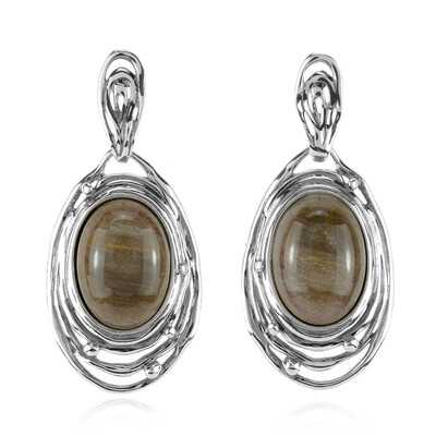 Petrified Wood Silver Earrings (dagen)