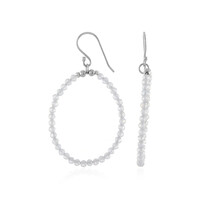 Zircon Silver Earrings