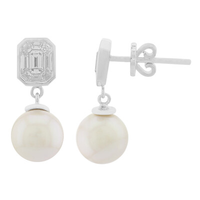 18K Akoya Pearl Gold Earrings (TPC)