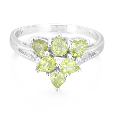 Paraiba Tourmaline Silver Ring