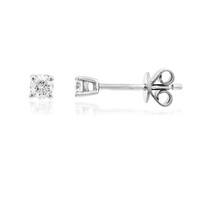 14K SI2 (H) Diamond Gold Earrings (CIRARI)