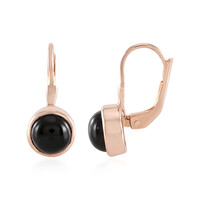 Black Onyx Silver Earrings