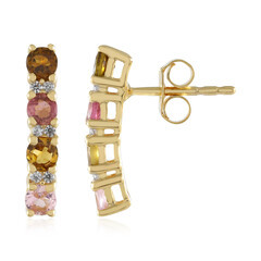 Fancy Tourmaline Silver Earrings