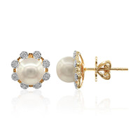 9K Akoya Pearl Gold Earrings (TPC)