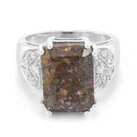 Dinosaur Bone Silver Ring