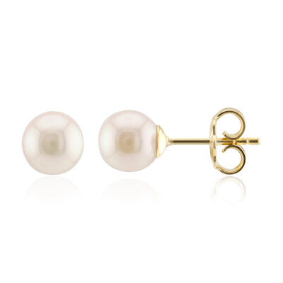 Akoya Pearl Silver Earrings (TPC)