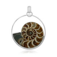 Ammonite Silver Pendant