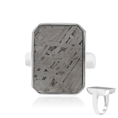 Aletai-Meteorite Silver Ring