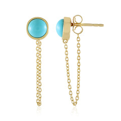 Sleeping Beauty Turquoise Silver Earrings
