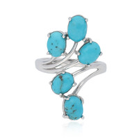 Turquoise Silver Ring