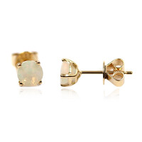 18K Welo Opal Gold Earrings