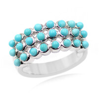 Sleeping Beauty Turquoise Silver Ring (Anne Bever)