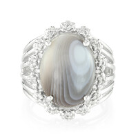 Botswana Agate Silver Ring