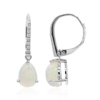 10K AAA Welo Opal Gold Earrings
