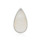 Mother of Pearl Silver Pendant (MONOSONO COLLECTION)