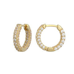 Zircon Silver Earrings