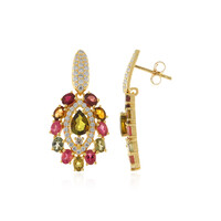 Fancy Tourmaline Silver Earrings