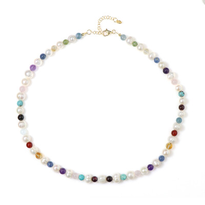 Turquoise Silver Necklace (Riya)