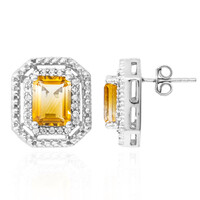 Bi Colour Citrine Silver Earrings