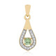 9K Madagascan Demantoid Gold Pendant (John Ferry)