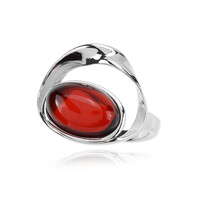 Colombian red Amber Silver Ring