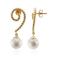 9K White Freshwater Pearl Gold Earrings (TPC)