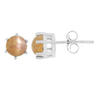 Cat´s Eye Sunstone Silver Earrings