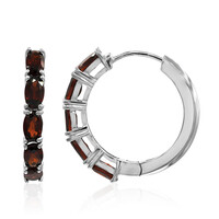 Garnet Silver Earrings