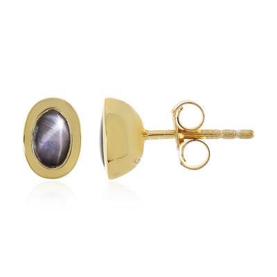 Black Star Sapphire Silver Earrings