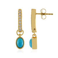 Turquoise Silver Earrings