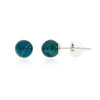Chrysokolla Silver Earrings