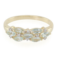 9K Paraiba Tourmaline Gold Ring