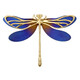 Brooch (dagen)